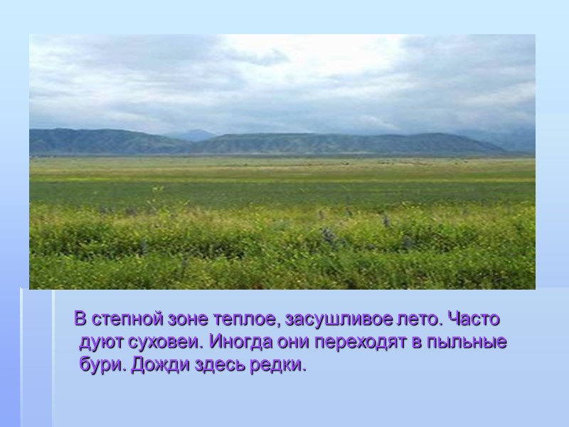 В степной зоне теплое, засушливое лето. Часто дуют суховеи. Иногда они переходят в пыльные